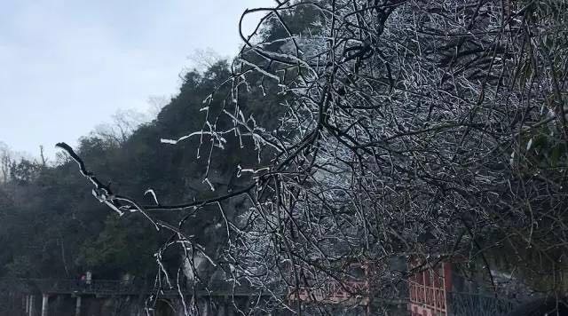 八和建材優(yōu)秀員工張家界魅力之旅6 八和建材優(yōu)秀員工張家界魅力之旅6